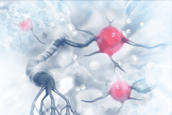 Bio-Identical Hormone Replacement